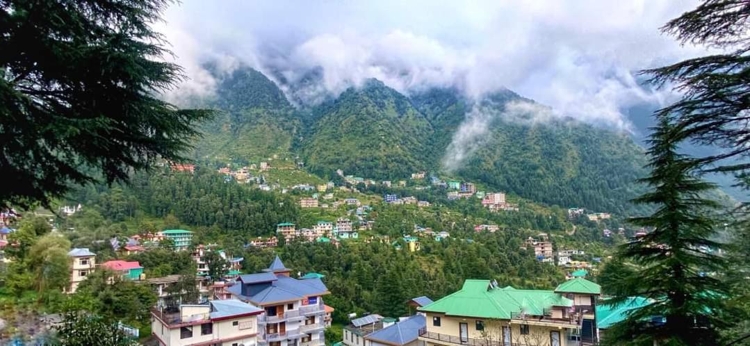 Oasis Guest House Bhagsu D'Shala Dharamshala Exteriör bild
