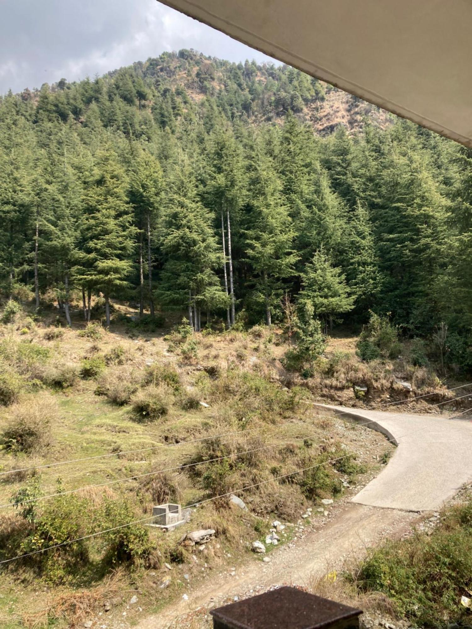 Oasis Guest House Bhagsu D'Shala Dharamshala Exteriör bild